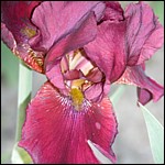 DSCN0062.JPG
